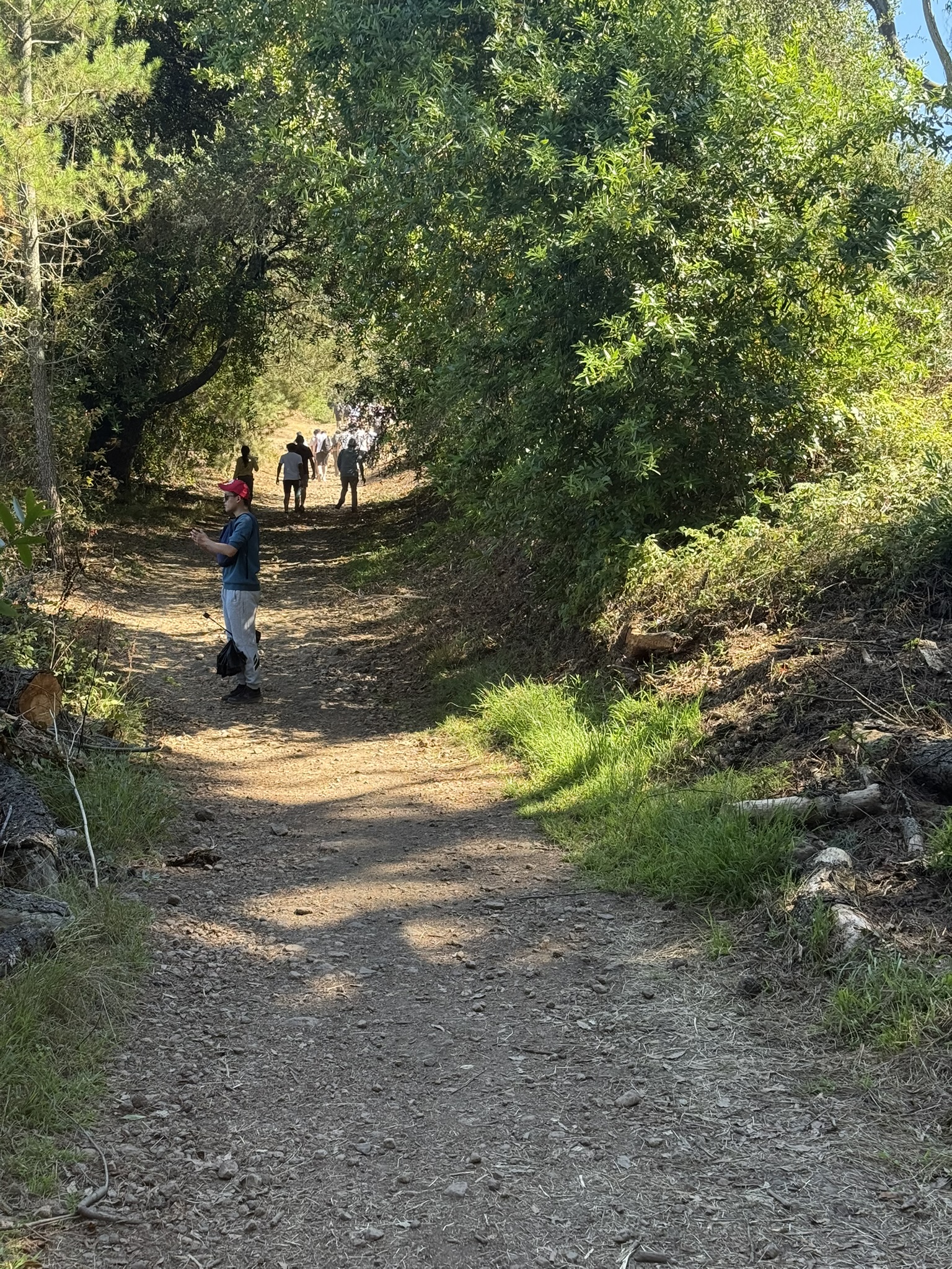 Close distance shot